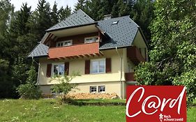 Ferienhaus Matz, Feldberg, Hochschwarzwald
